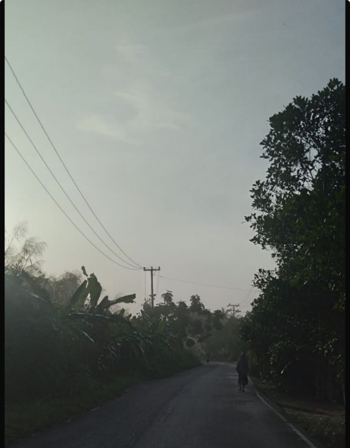 10 Tahun Gelap Gulita, Warga Parit 21 Tembilahan Desak Dinas Pertamanan Segera Pasang Lampu Jalan