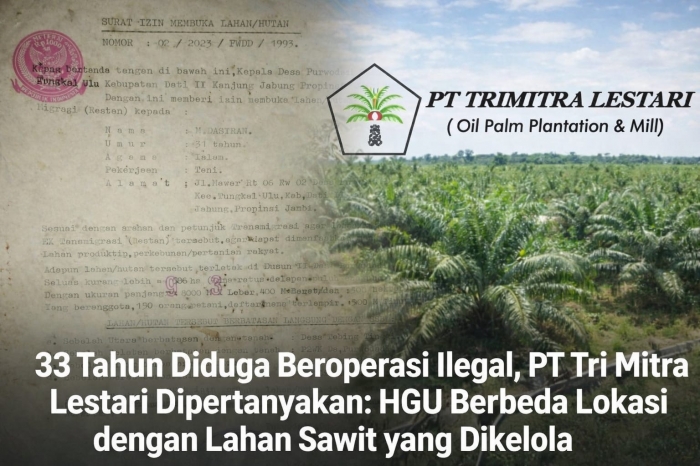 33 Tahun Diduga Beroperasi Ilegal, PT Tri Mitra Lestari Dipertanyakan: HGU Berbeda Lokasi dengan Lahan Sawit Yang Dikelola.